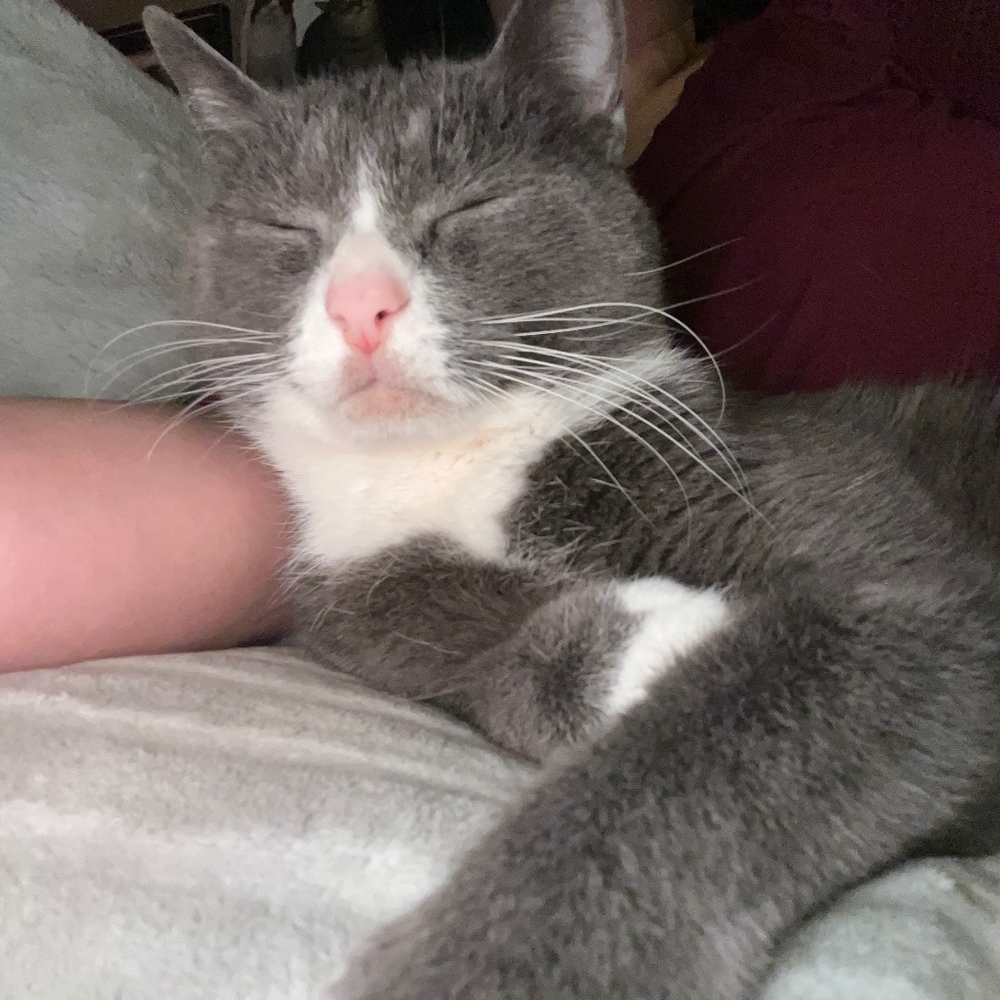 Meet your Posher, Goin'